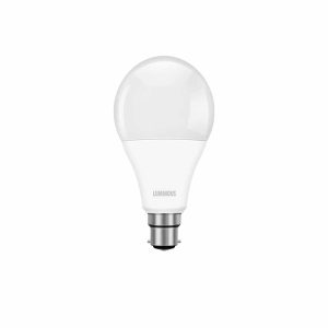 Luminous 12W LED Bulb Cool Day Light (Pack of 2)