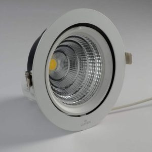 Luker COB 60° 30W LED COB Light