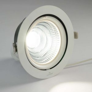 Luker COB 24° 30W LED COB Light