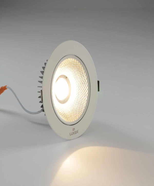 Luker COB 4W LED COB Light