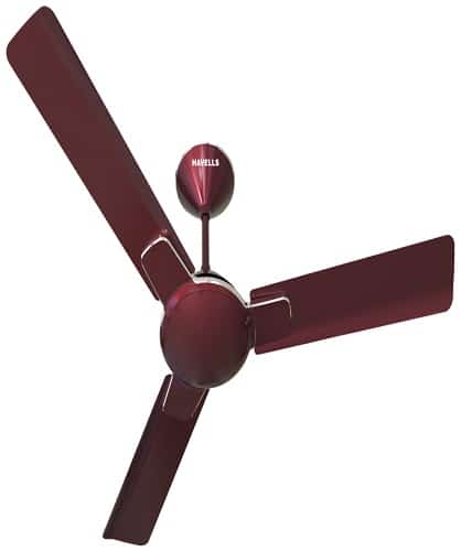 Havells Enticer 1200mm Ceiling Fan - Maroon Chrome