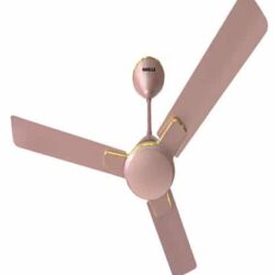 Havells Enticer 900mm Ceiling Fan - Rose Gold