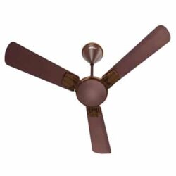 Havells Enticer Art new Heritage Edition 1200mm Ceiling Fan
