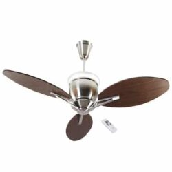 Havells Florina	 1320mm Ceiling Fan