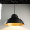 Luker Apollo Indoor Hanging 12W Architectural Light - Matt Black