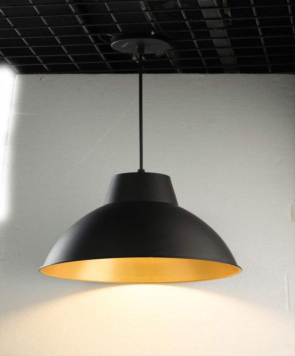 Luker Apollo Indoor Hanging 12W Architectural Light - Matt Black