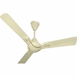 Havells Nicola 900mm Ceiling Fan - Pearl Ivory Gold