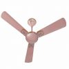 Havells Enticer Art new Collector’s Edition 1200mm Ceiling Fan - Rose Gold