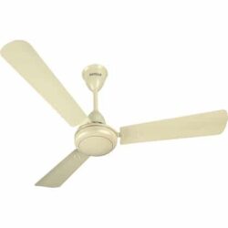 Havells SS 390 Metallic 900mm Ceiling Fan - Pearl Ivory