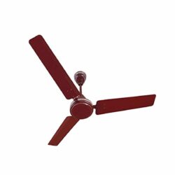 Havells XP 390 1200mm Ceiling Fan - Brown