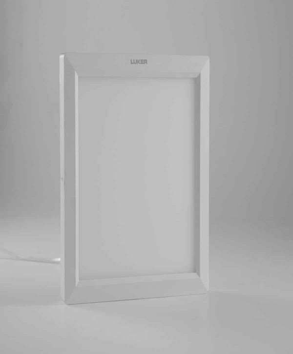 Luker Elegant 12W LED Surface Panel Light