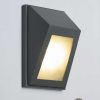 Luker Plutus Outdoor Wall 9W Architectural Light