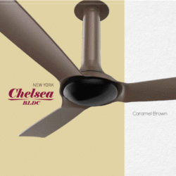 Luminous New York Chelsea BLDC Carmel Brown