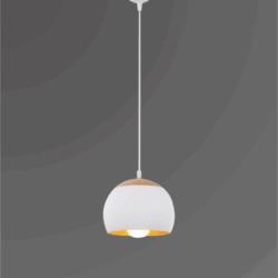 Luker Indoor Hanging Light PRIGO P1