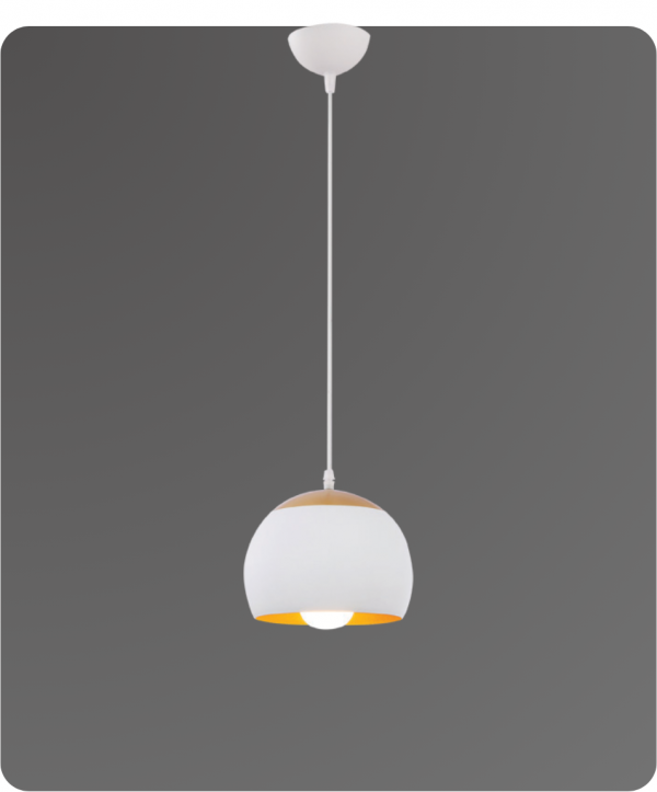 Luker Indoor Hanging Light PRIGO P1